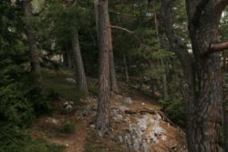 2011-04-24_Regina-F-Rau_Brunnstein-Spitze (050).JPG